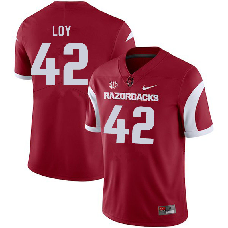 Men #42 Sam Loy Arkansas Razorbacks College Football Jerseys Sale-Cardinal